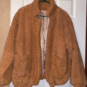 teddy coat